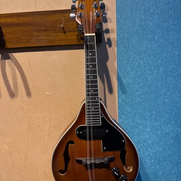 藏式风格电声八弦曼陀铃民族乐器