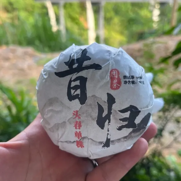 昔归忙麓山头春头采单株坨茶普洱生茶200g