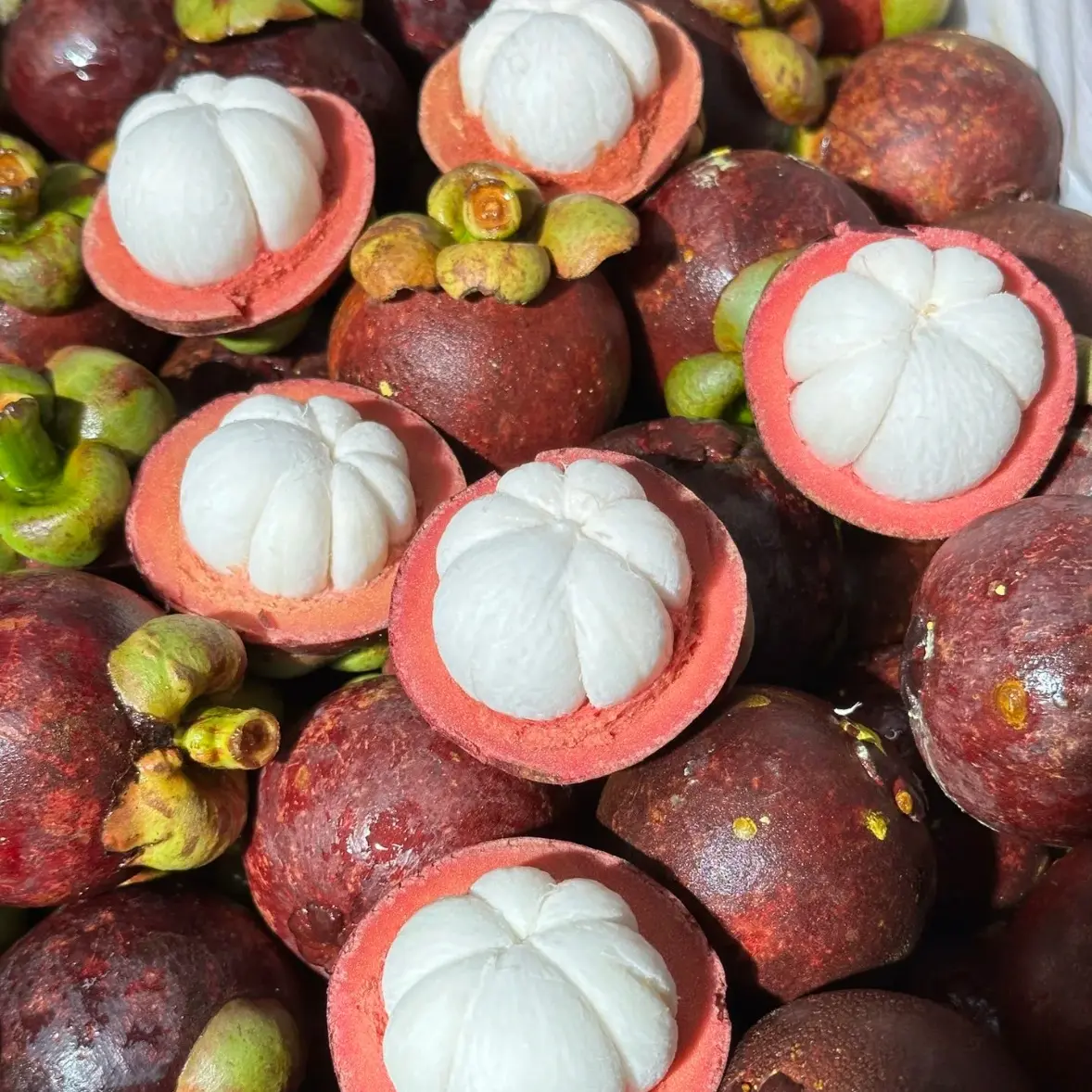 【孤独食堂】泰国3A老树麻竹山竹软糯香甜超级新鲜进口水果新鲜采摘新日期应季热带净重4斤顺丰次日达坏果包赔