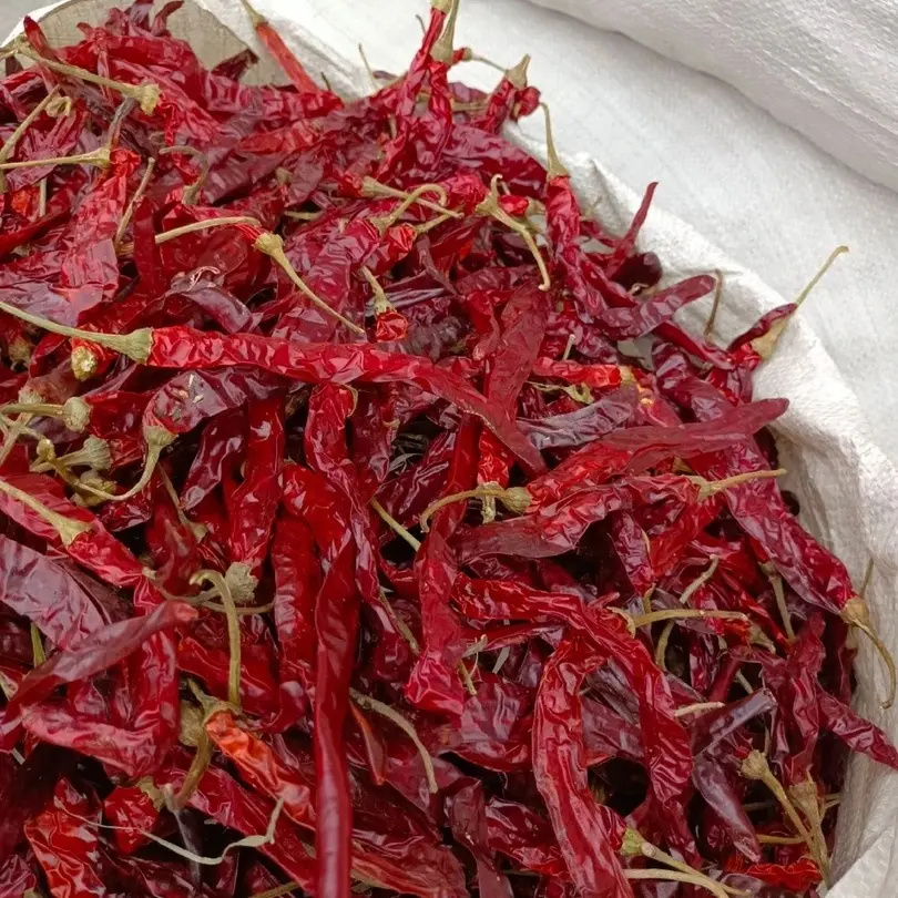 湖南湘西农家干辣椒中辣