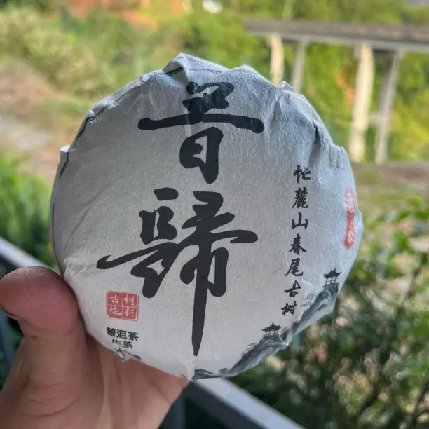 昔归忙麓山春尾古树普洱生茶坨茶500g