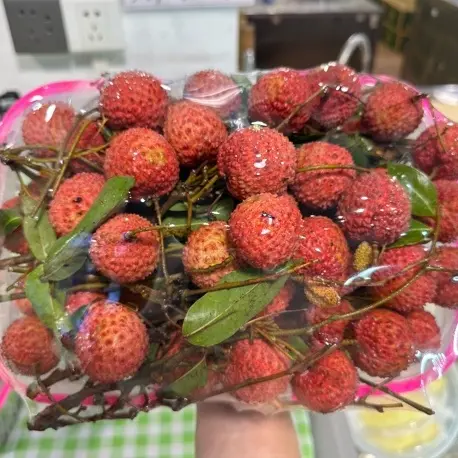 华侨农场桂味荔枝新鲜现摘1-5斤荔枝同城送广东省