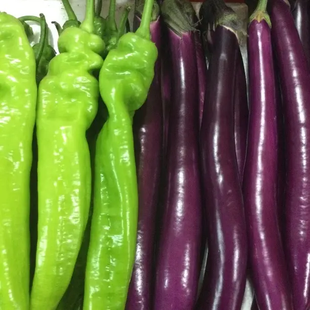 新鲜薄皮辣椒现摘现发农家自种香辣中辣当季蔬菜