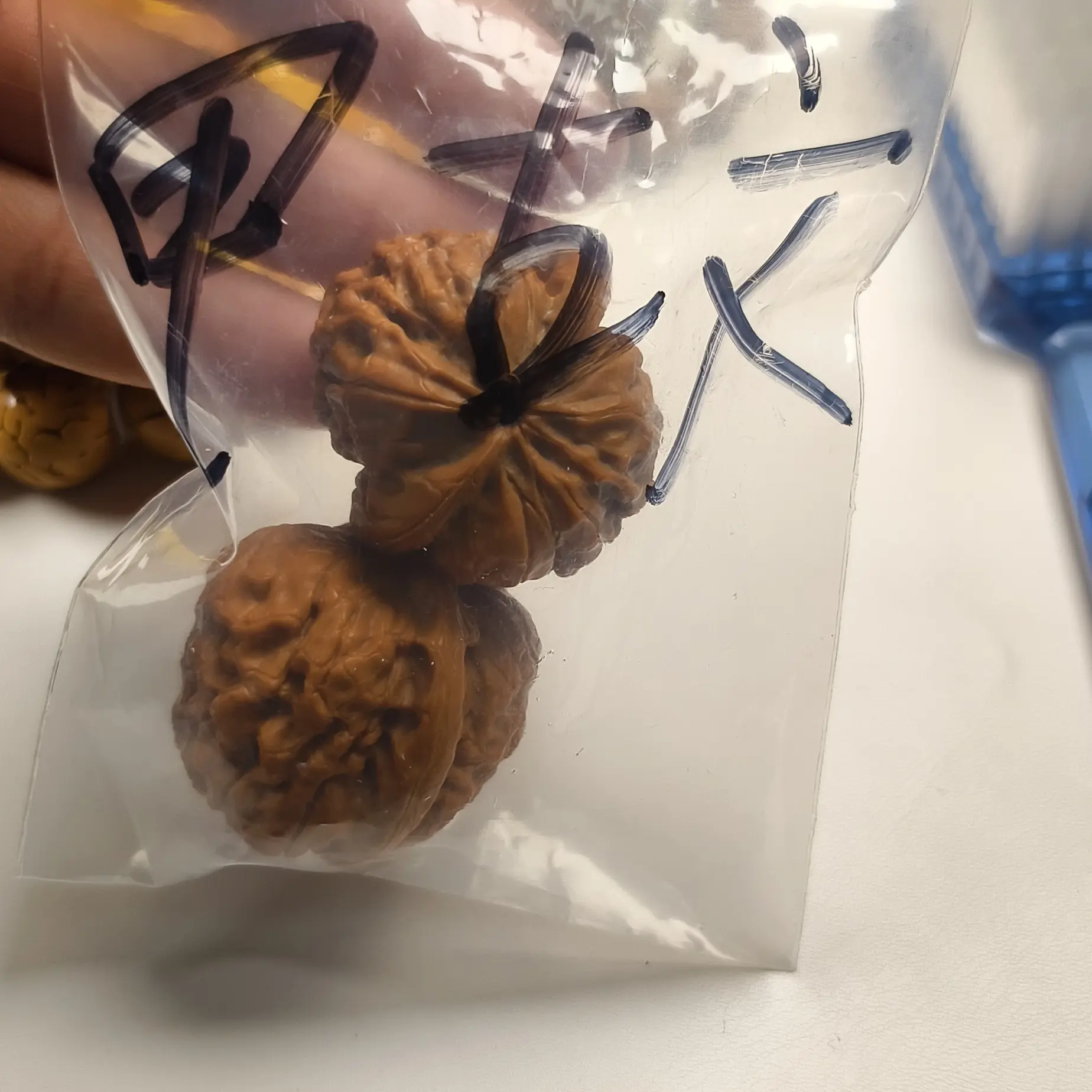 坚果文玩类型把玩件