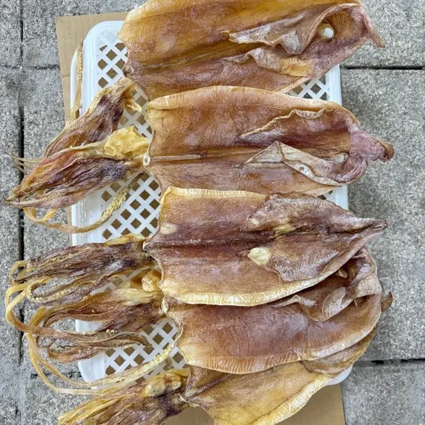 北海渔民自晒特大号鱿鱼干海鲜食品天然滋补