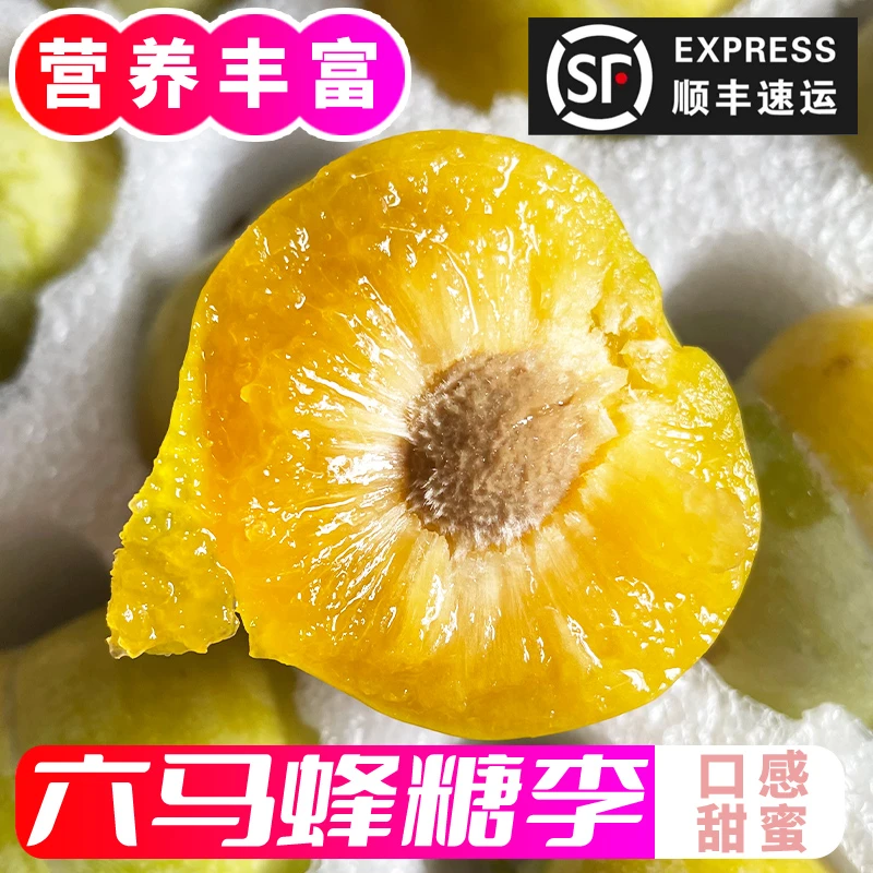 精选大果【支持试吃】蜂糖李正宗贵州镇宁六马蜂糖李