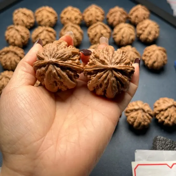 文玩核桃秦岭核桃手把玩件精选配对高抛