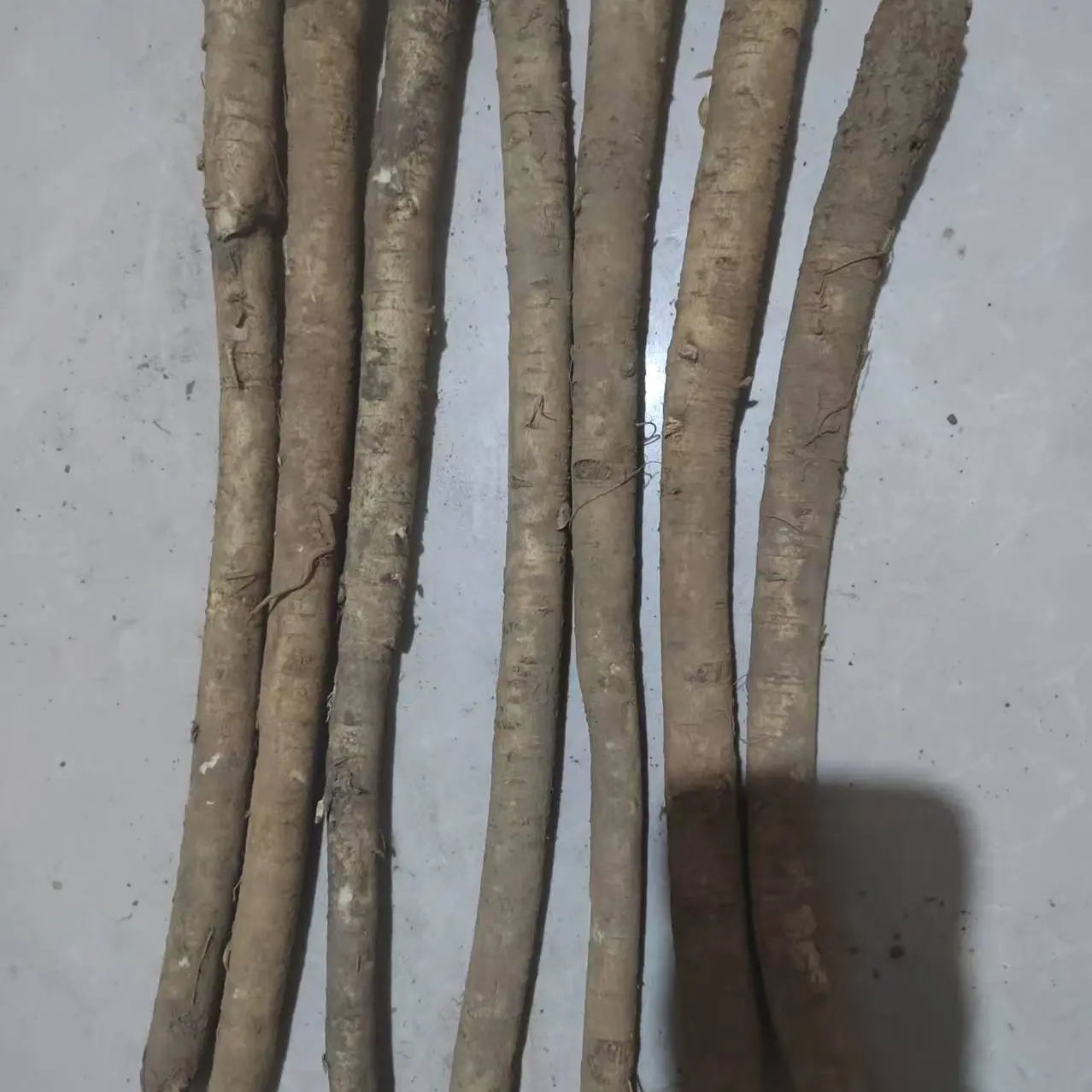 甘肃岷县新鲜黄芪现挖现发原产地可泡水煲汤炖肉当季鲜货
