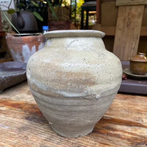 老花盆一物一拍不退不换新疆西藏甘肃拍