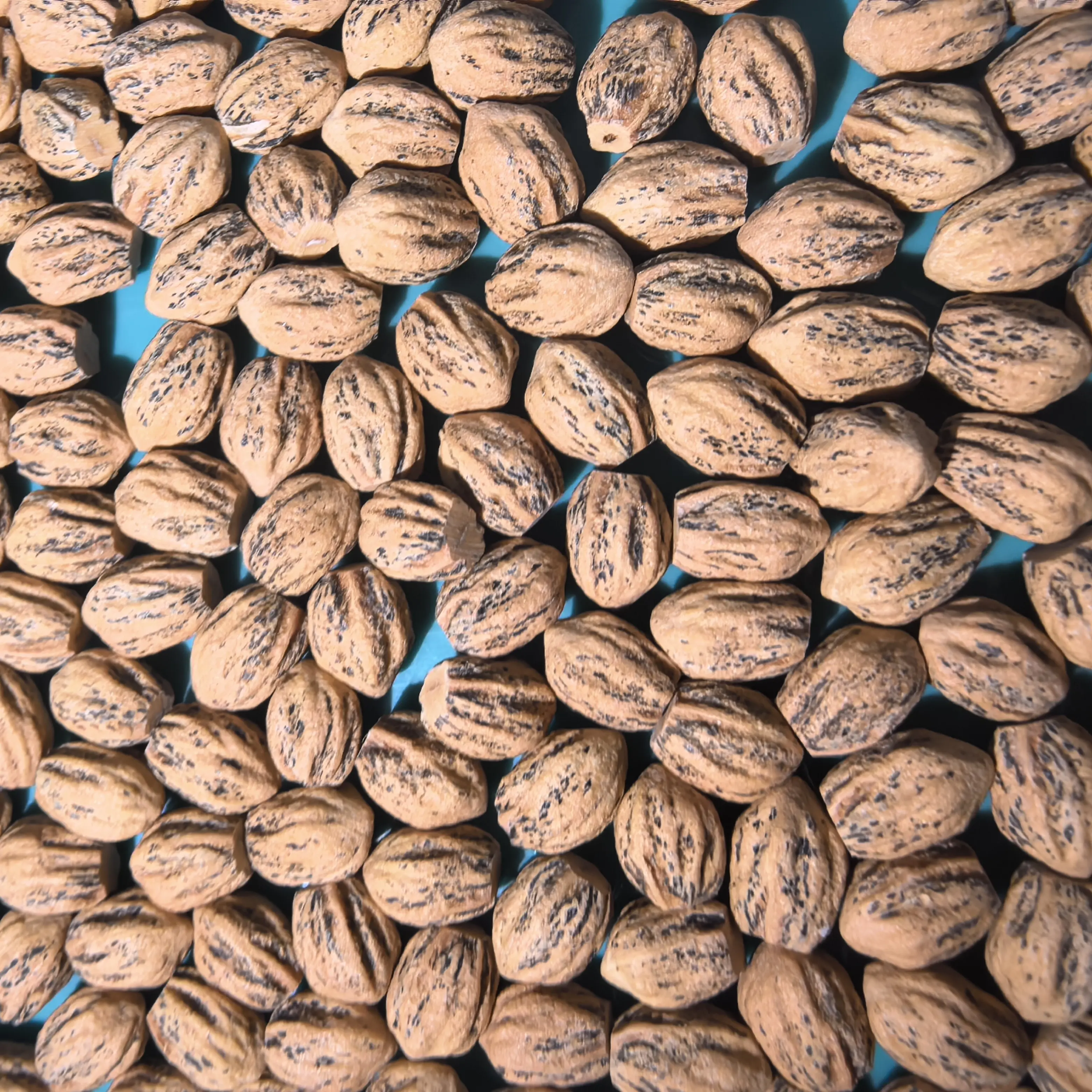 柏香籽-补补补补-通用