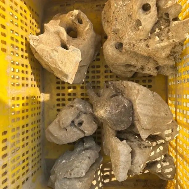 赏石收藏精品盆景鱼缸茶几摆件