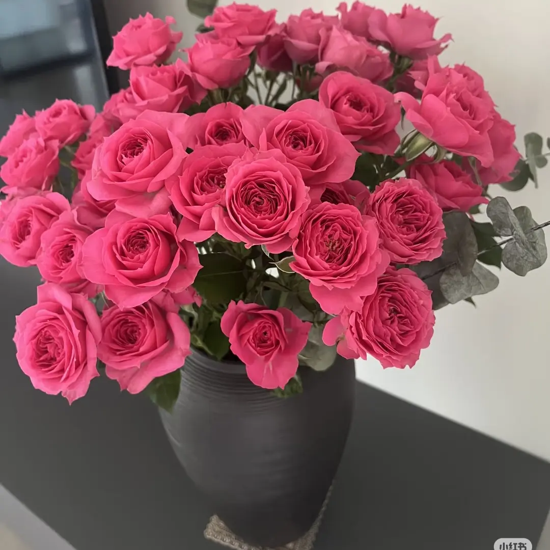 (20把起发)嘉橙苏菲宝贝10支(花店配货)