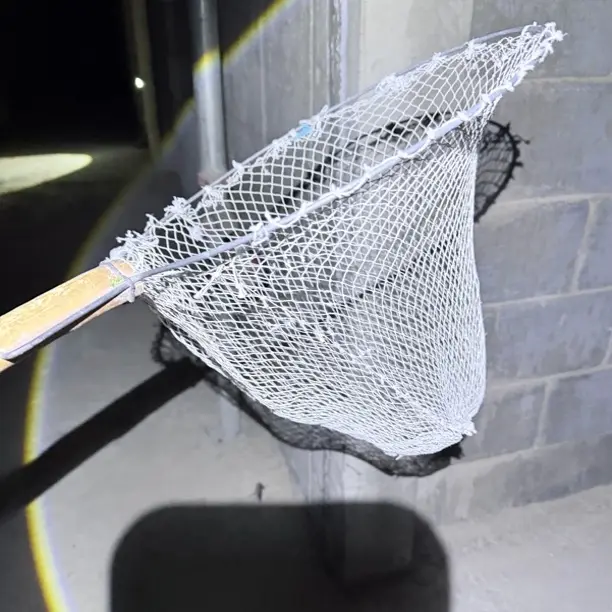 不锈钢伸缩杆防挂网抄网全套捞鱼钓鱼实用渔具