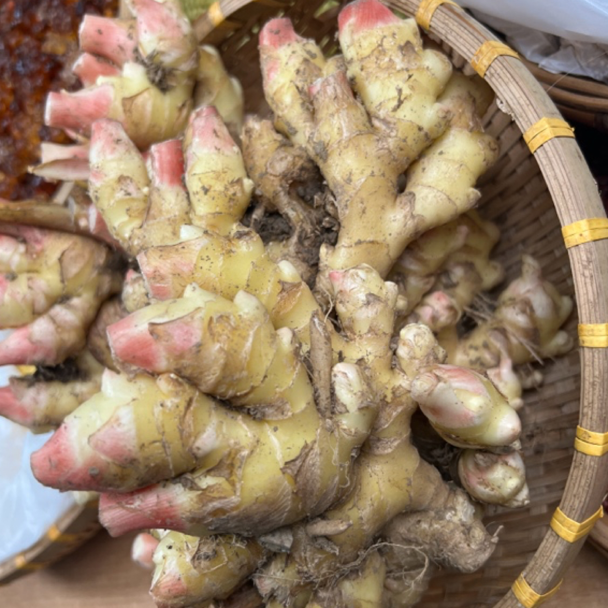 世界长寿乡湖南麻阳县苗乡农家新鲜小黄姜