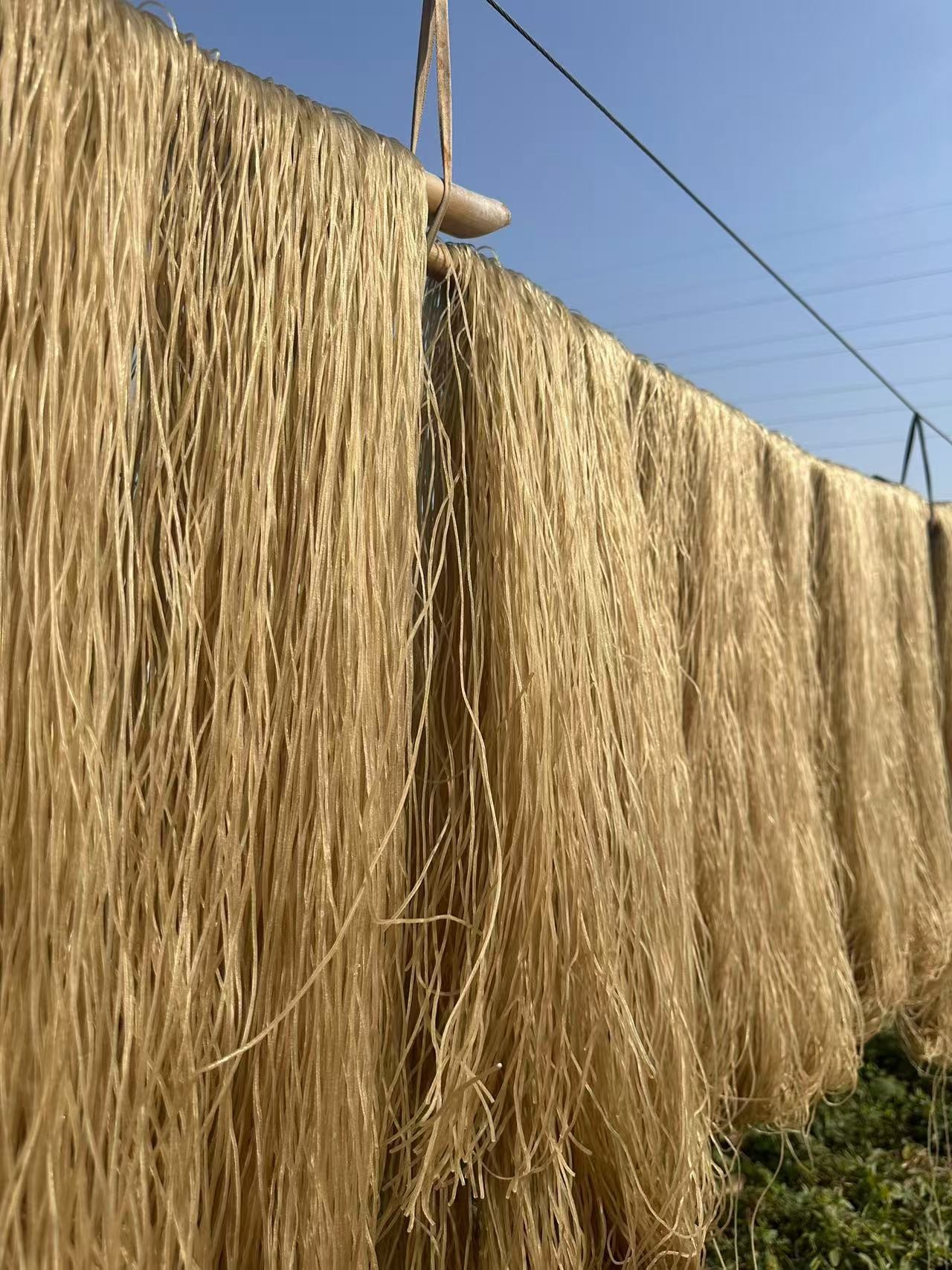 市场通货刘井粉丝粉条红薯木薯粉丝粉条邳州特产(4.5斤）