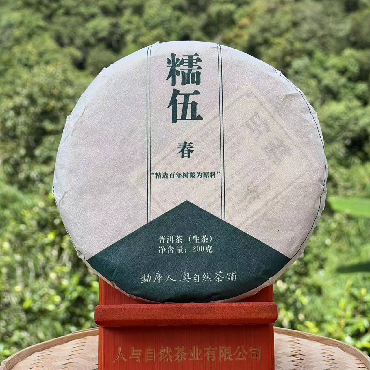 冰岛糯伍2022年 春茶200克 普洱茶生茶