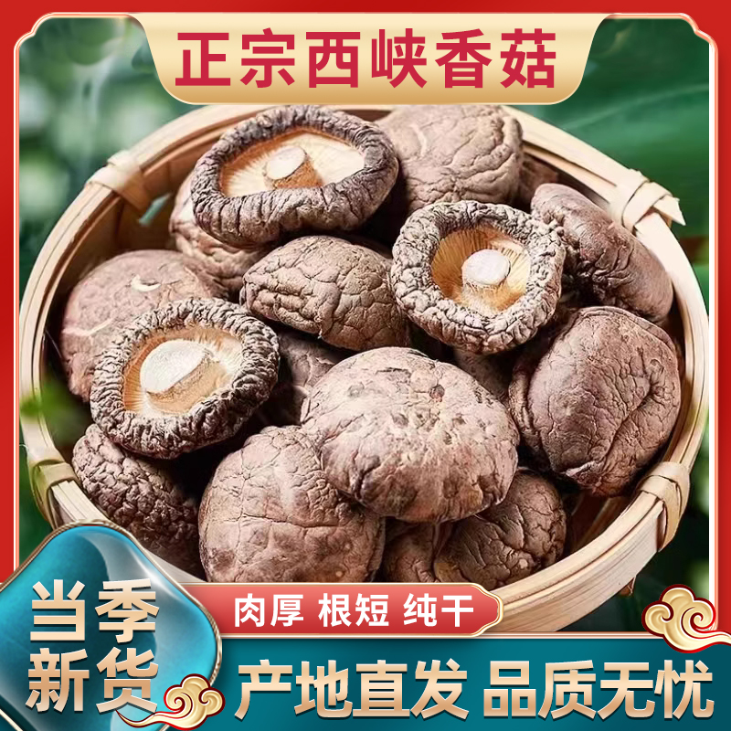 伏牛山特产西峡香菇肉厚菇肥干蘑菇食用菌菇火锅炒菜煲汤食材甄选