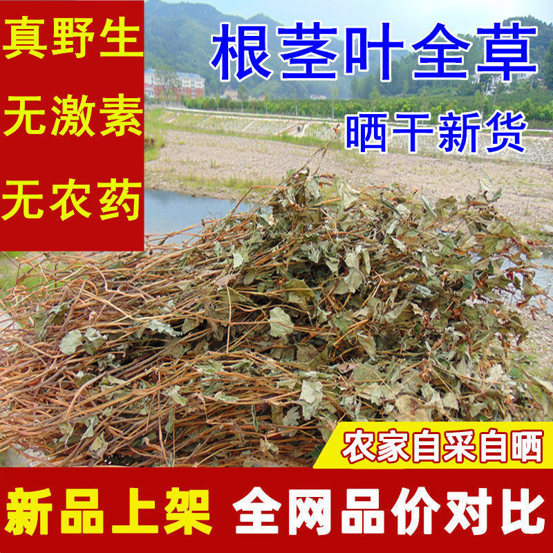 四川野生鱼腥草整颗干货无硫晒干折耳根鱼腥草凉拌煮水泡水新鲜