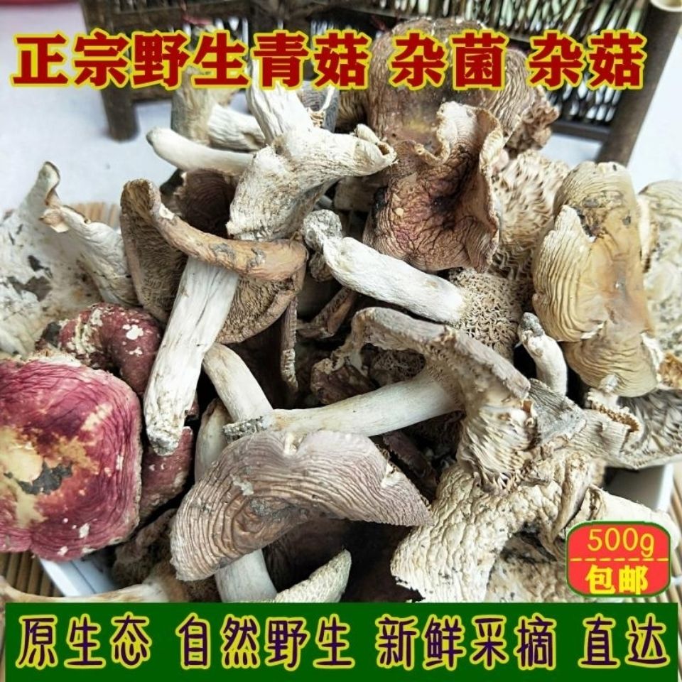 野生菌小鸡干货蘑菇干杂菌菇野山菌菌类特产红菇青头菇干菌菇正宗