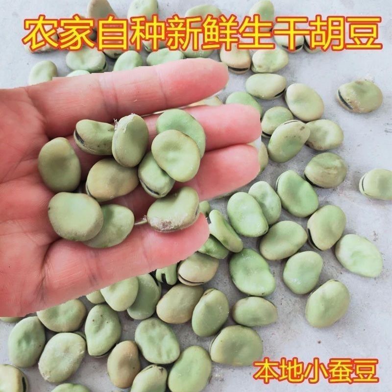 巴中本地小蚕豆2025小胡豆生干农家自种小胡豆老品种可做鲩鱼饲料