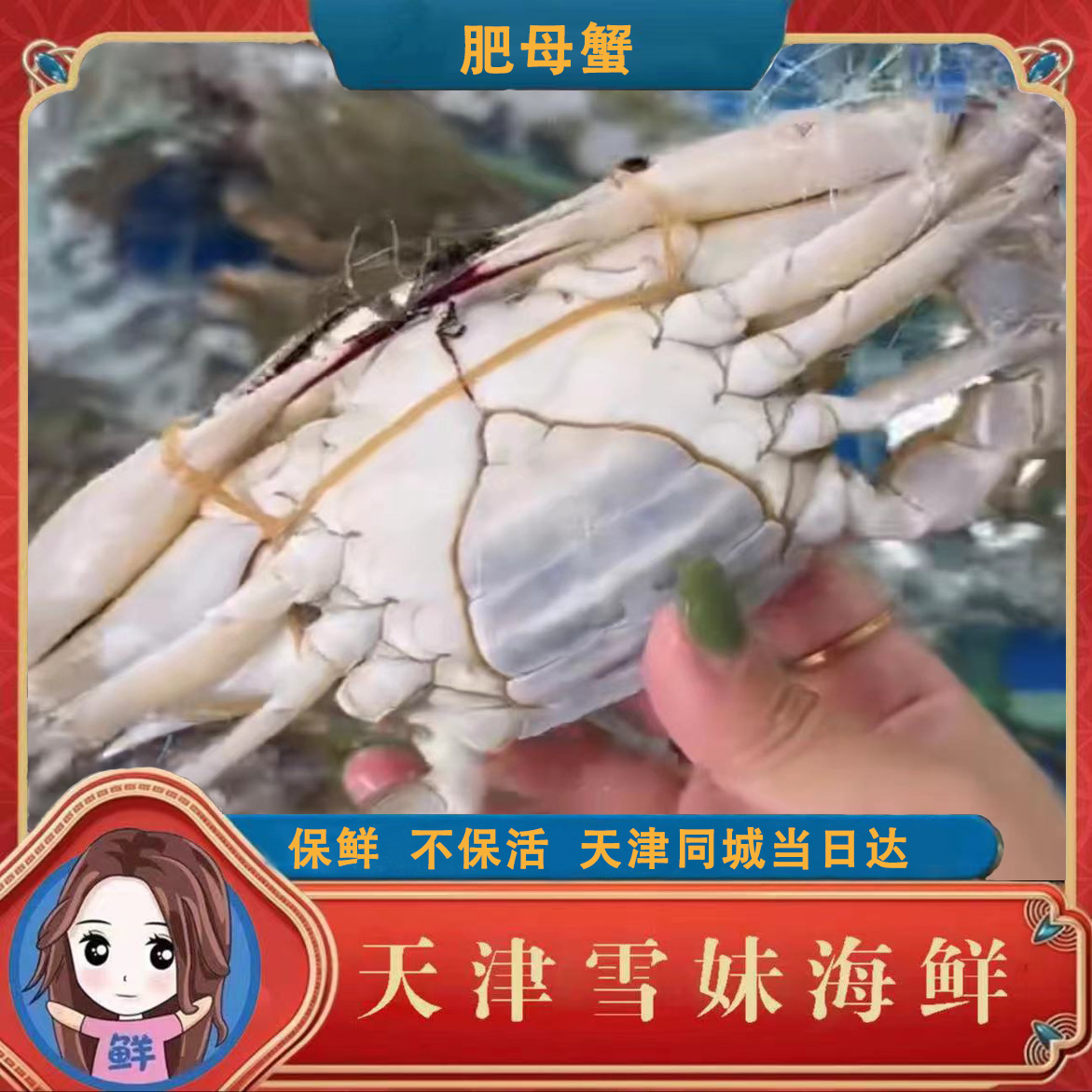 雪妹【保鲜不保活】肉母蟹2斤-5斤 ，单只2-3两 左右
