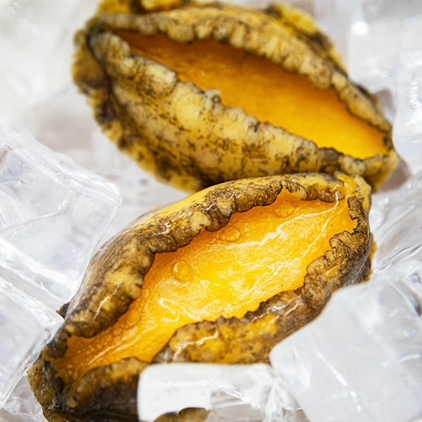 【鲜冻】4头鲍鱼手剥纯肉12颗 约520克-540克之间每包 连云港发货