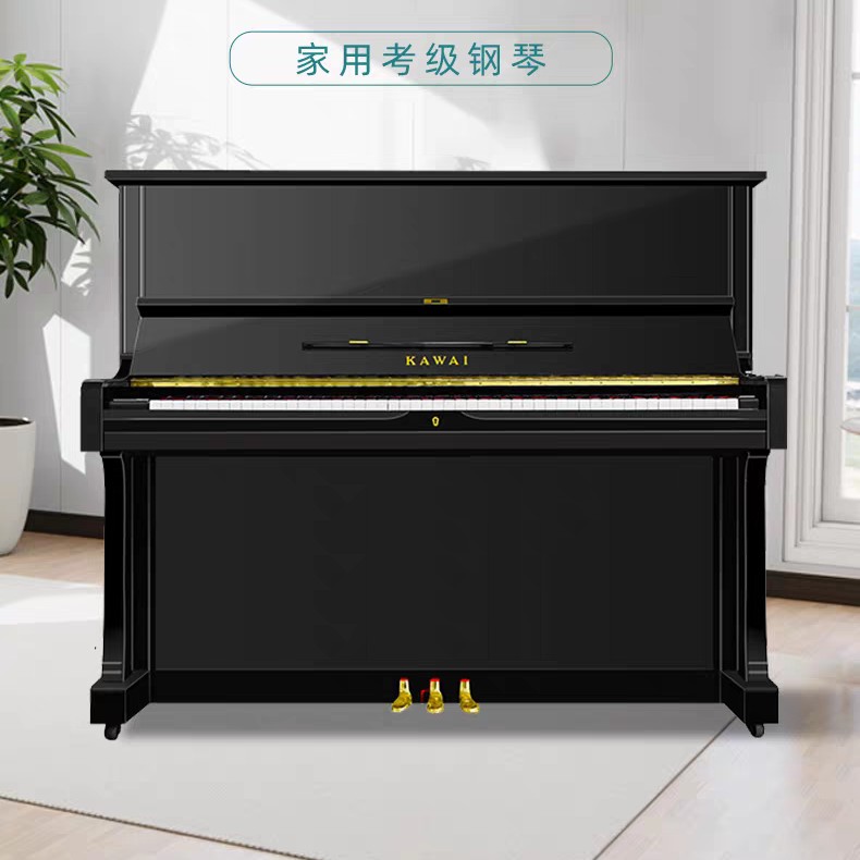  KAWAI/卡瓦依 原装进口卡哇伊钢琴，BS-20专业钢琴