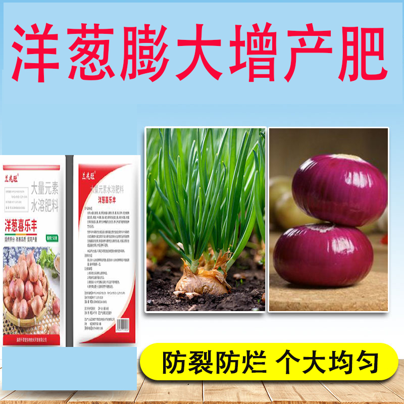 洋葱膨大素增产剂洋葱毛葱专用防裂防烂调节剂高产腐殖酸叶面肥料
