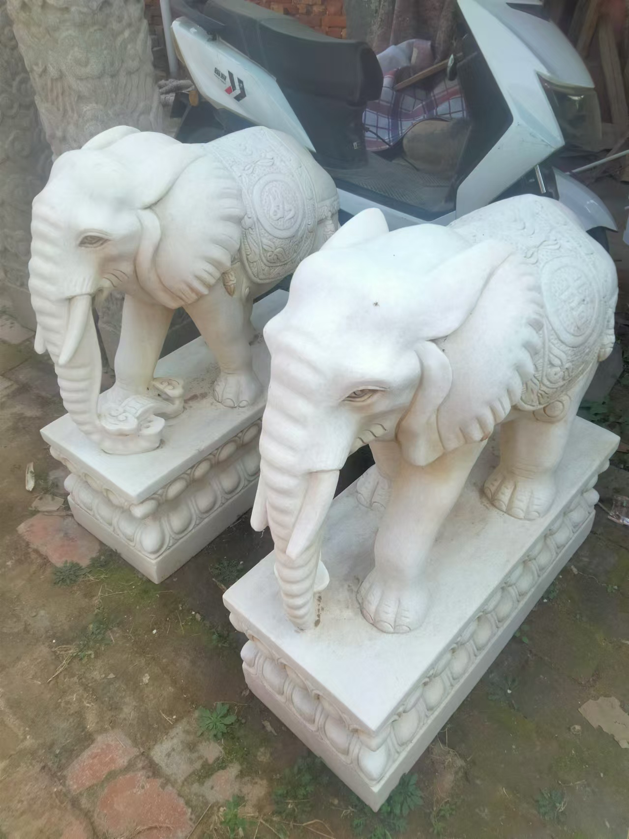 门口汉白玉大象，