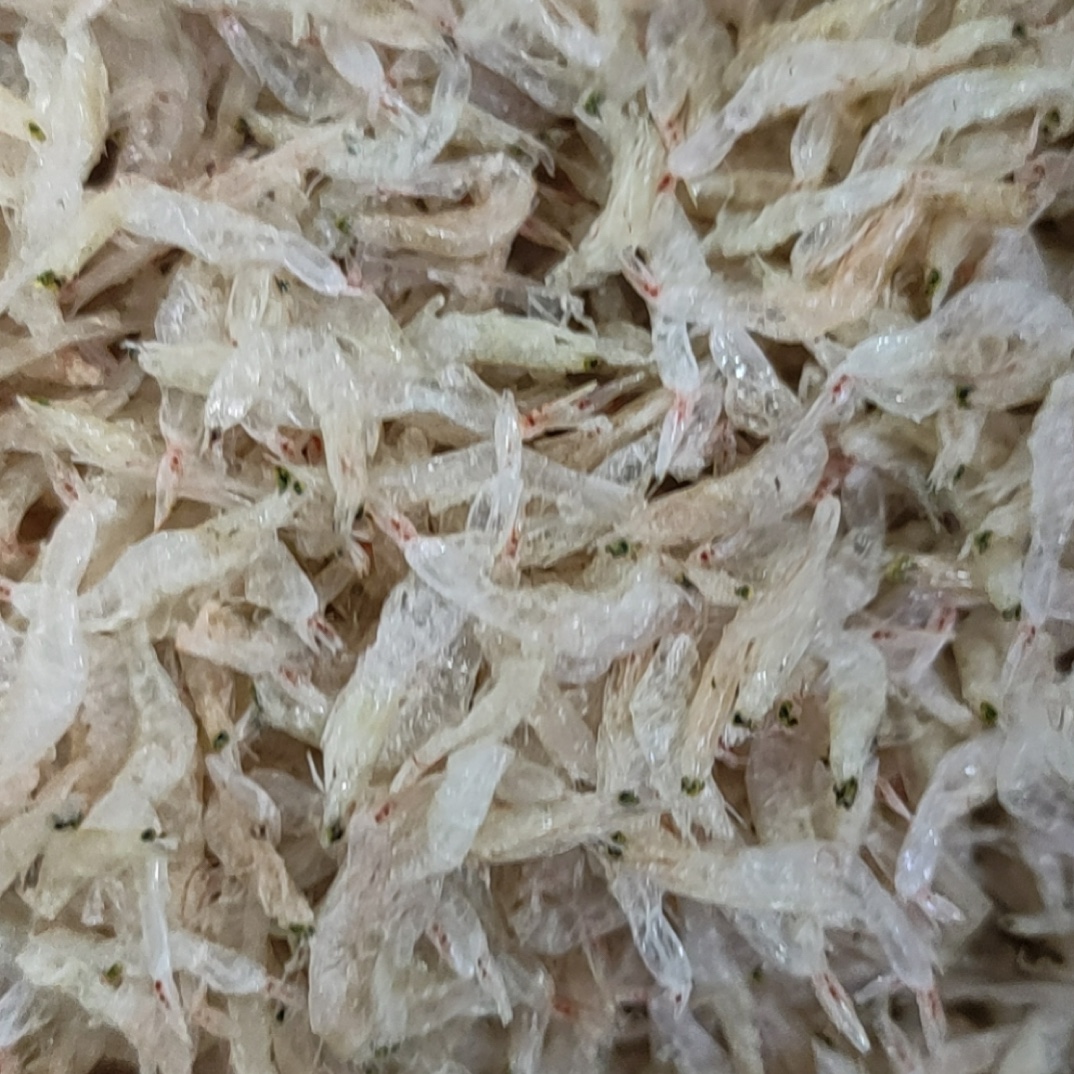 汕尾本港虾苗  虾皮   250g500g