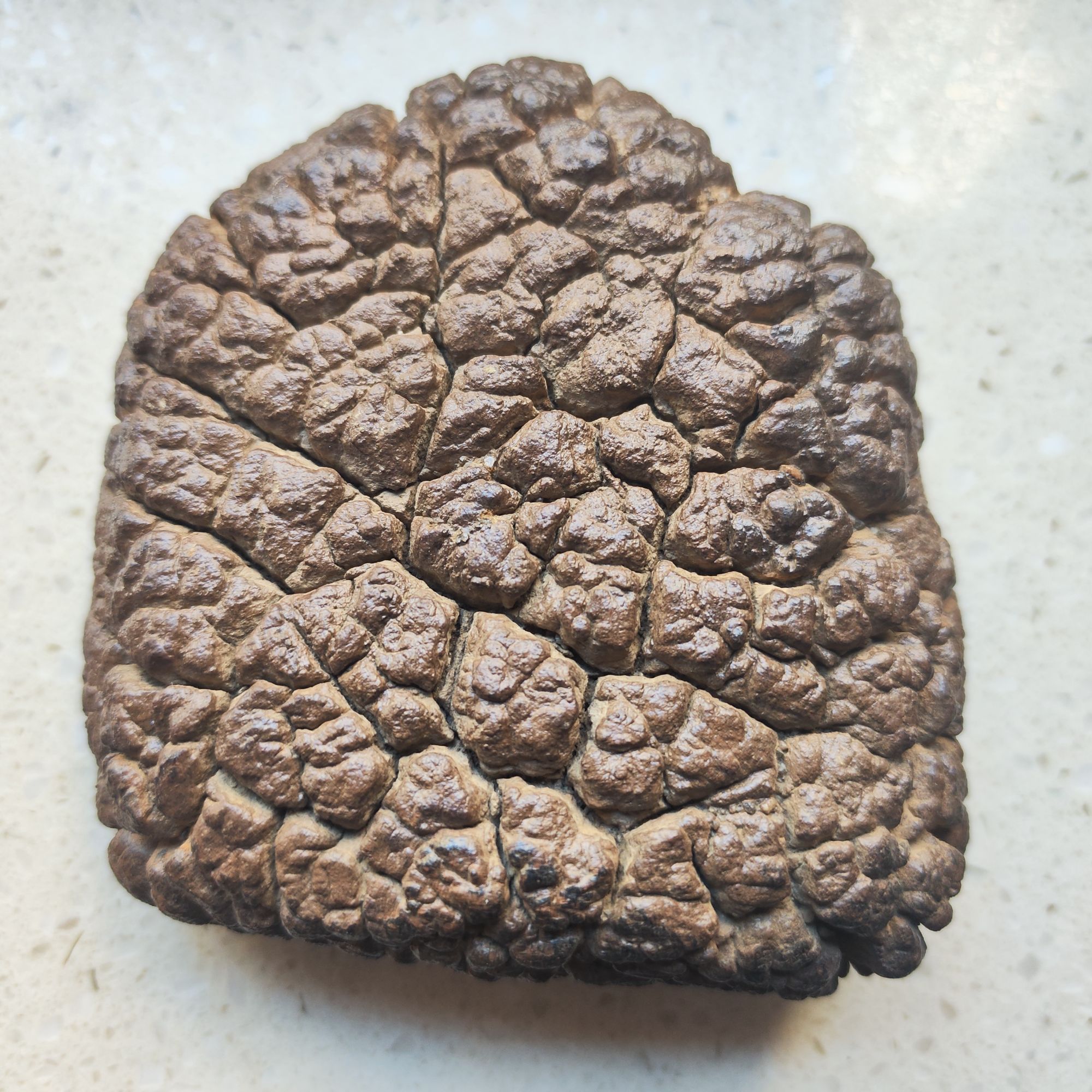 直播间拍货链接【1号】家居摆件