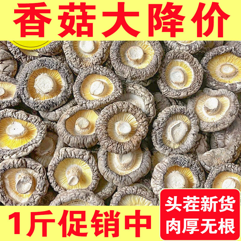28抢【一斤香菇干货】古田农家特产香菇干肉厚无根炖煮菌汤毛重