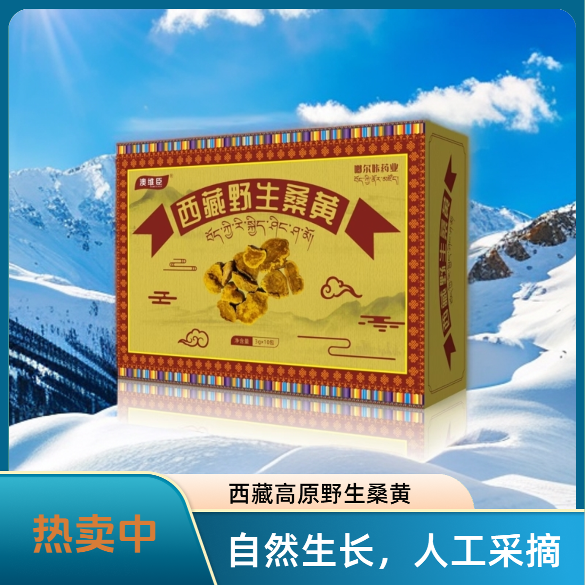 西藏高原桑黄 可煮可泡 老少皆宜【数量不多】ww