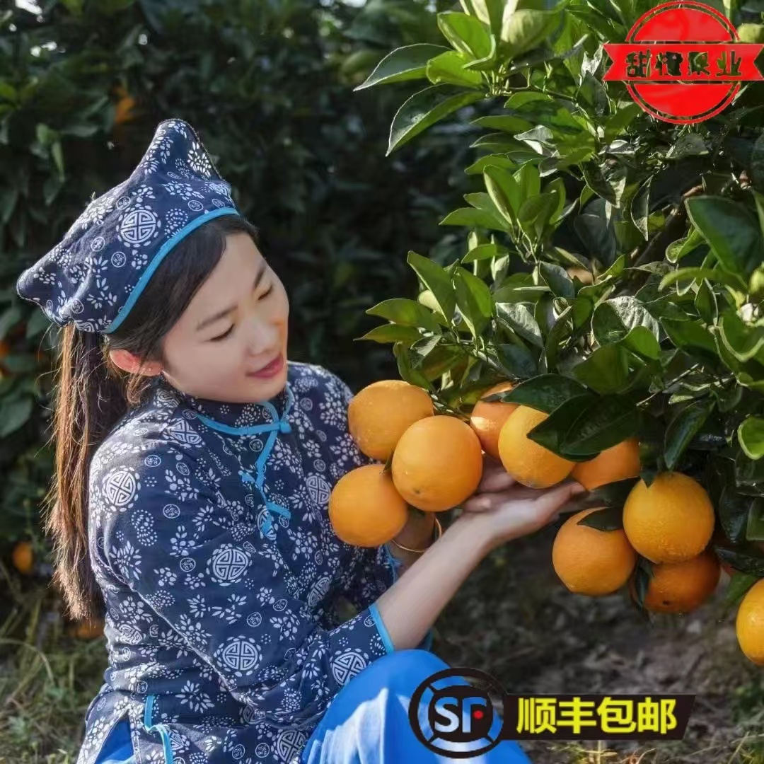 小果送一半精品果赣南脐橙发源地安西脐橙现摘现发果农直销