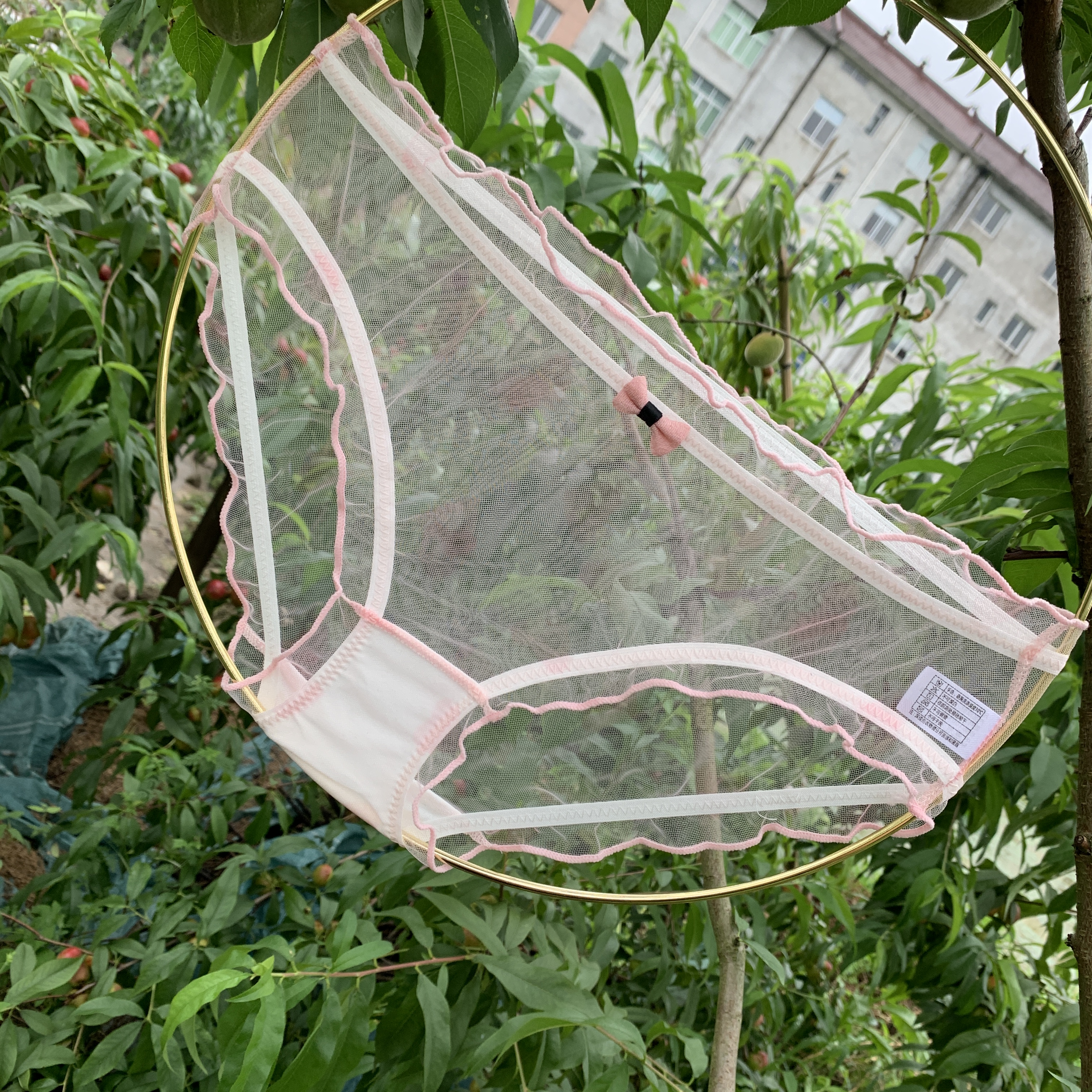 薄款时尚少女款士蕾丝内裤 女 三角短裤低腰夏季速干性感新品舒适