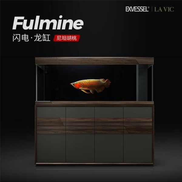 久鼎爱沃鱼缸龙缸系列拉蔚闪电龙缸（2件）