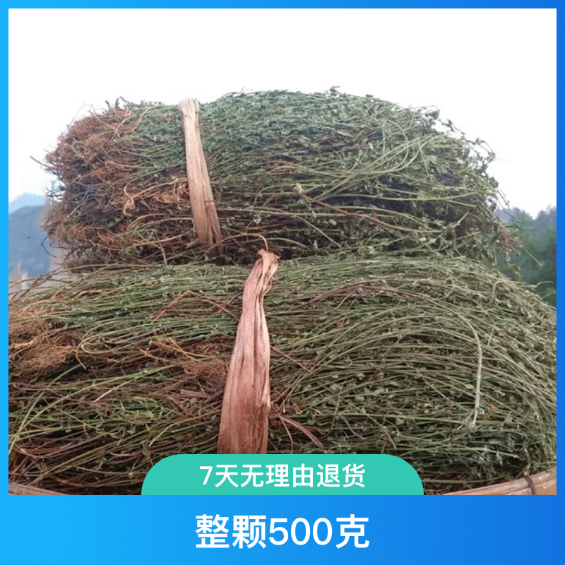 福建田基黄雀舌草整颗500 克