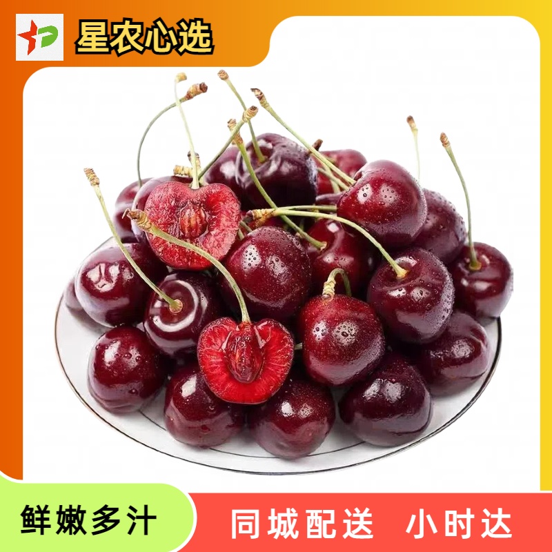 约500g 精选大果实现车厘子自由脆甜多汁【星农心选】