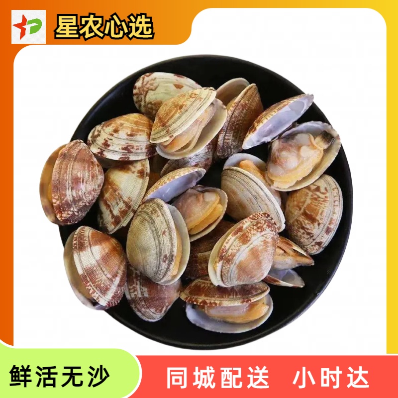 约2斤 鲜活花蛤特大干净无沙原汁原味【星农心选】