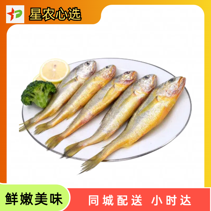 500g 冷冻小黄鱼【星农心选】