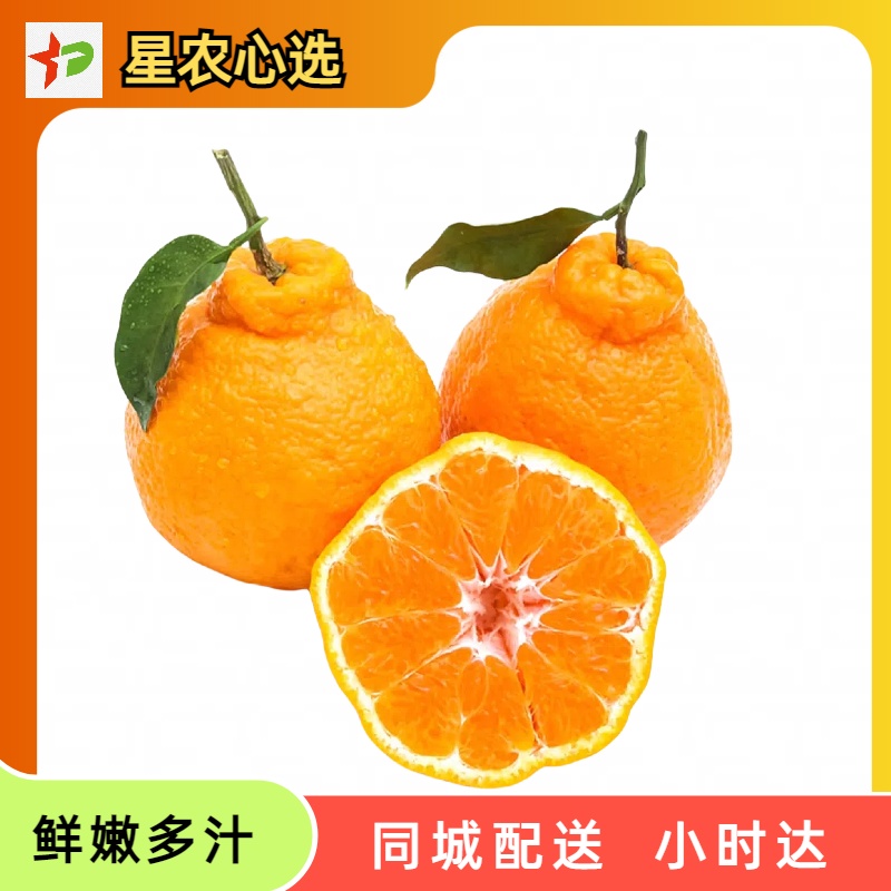 约2斤 耙耙柑新鲜采摘皮薄多汁【星农心选】
