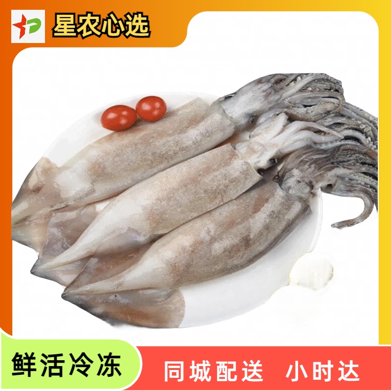 约1斤 鱿鱼【星农心选】