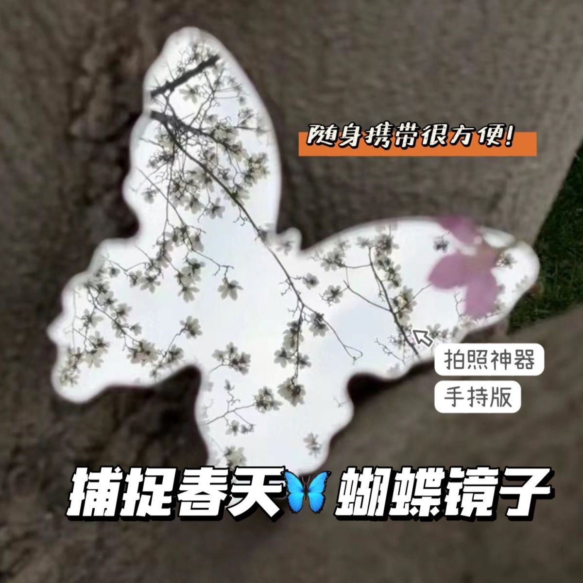 网红蝴蝶化妆镜补妆便携春日拍照神器意境蝴蝶便宜加厚创意摆拍镜