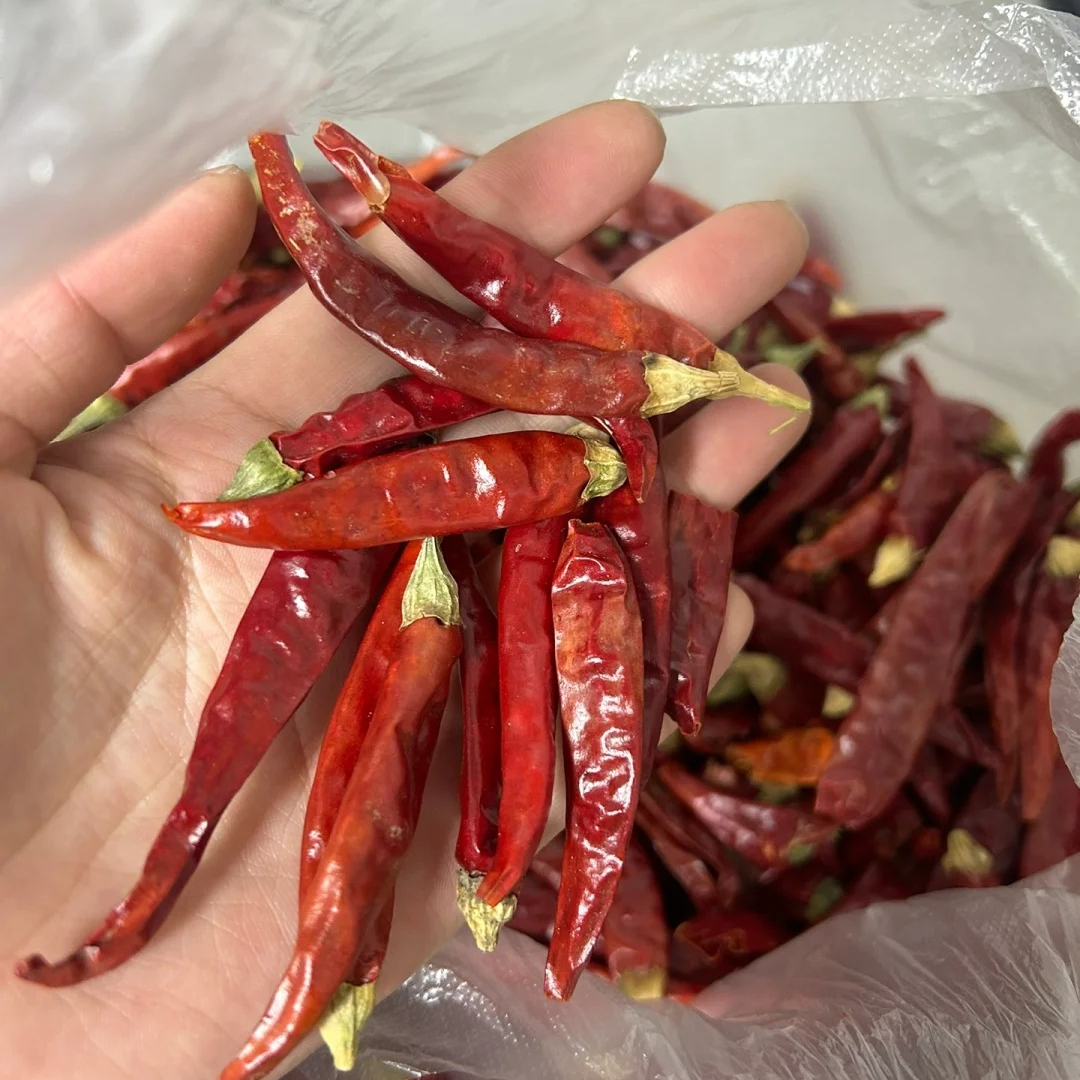 普洱澜沧农家干辣椒香味重辣味足适合炸辣椒油做蘸水