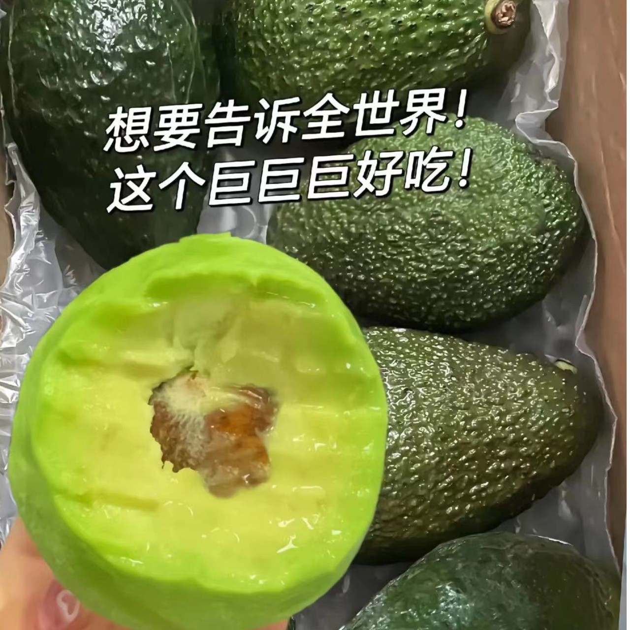 【整果】牛油果3枚牛油果同城