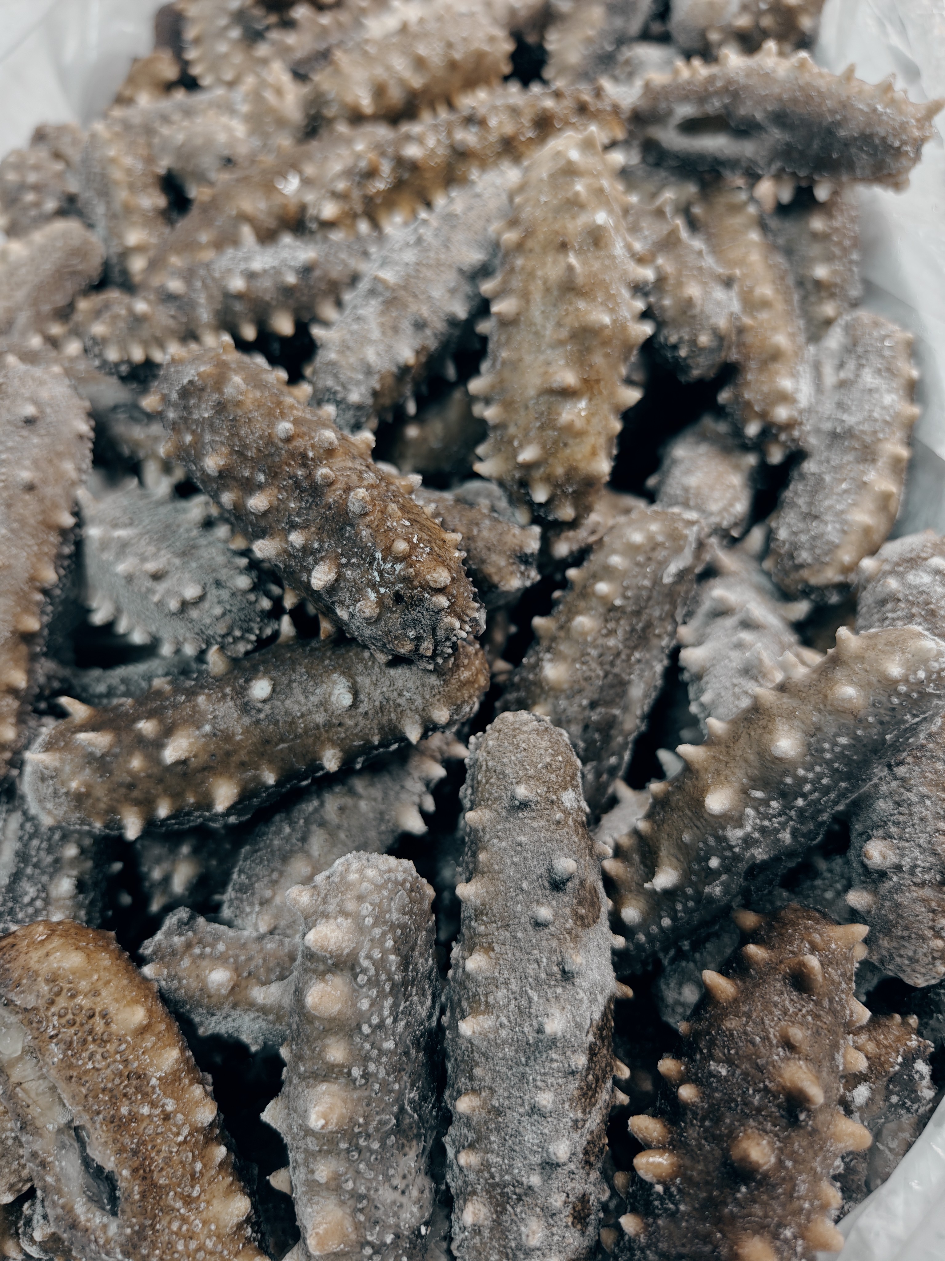 【百之珍】大连辽刺参，6-8头，低压熟口，口感Q弹