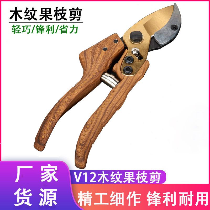 日本不锈钢果树剪枝剪刀园林剪家用园艺剪剪树枝剪省力花枝修枝剪