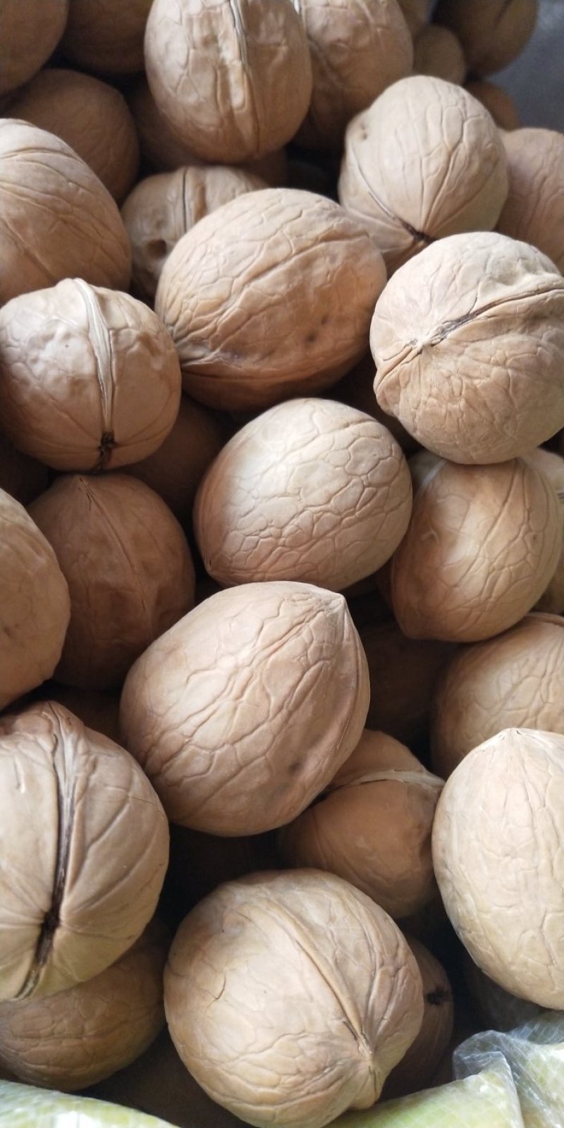 【大自然干果】33核桃500g