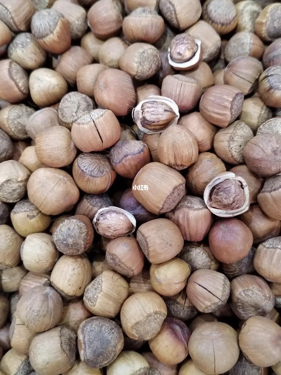 【大自然干果】野生榛子500g