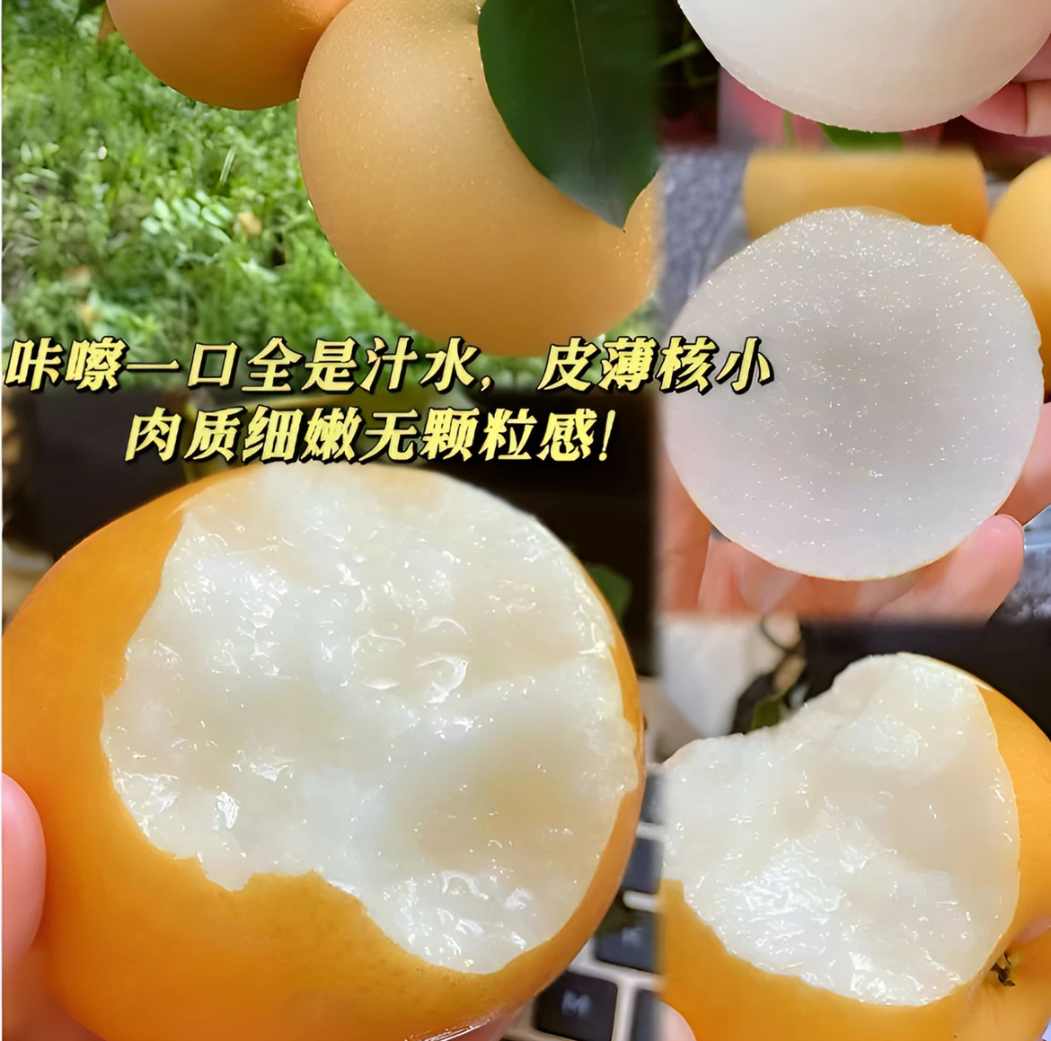 正宗高山秋月梨皮薄汁水多爆甜（每箱5斤）